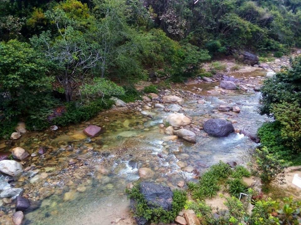 Casa Rio Cuale And River Retreat Puerto Vallarta Eksteriør bilde
