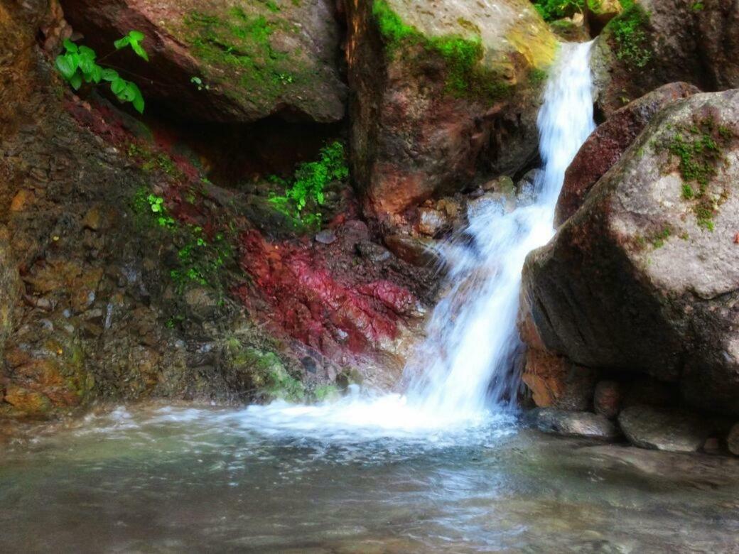 Casa Rio Cuale And River Retreat Puerto Vallarta Eksteriør bilde